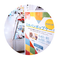 実績・メディア掲載